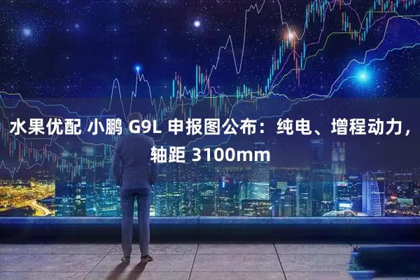 水果优配 小鹏 G9L 申报图公布：纯电、增程动力，轴距 3100mm