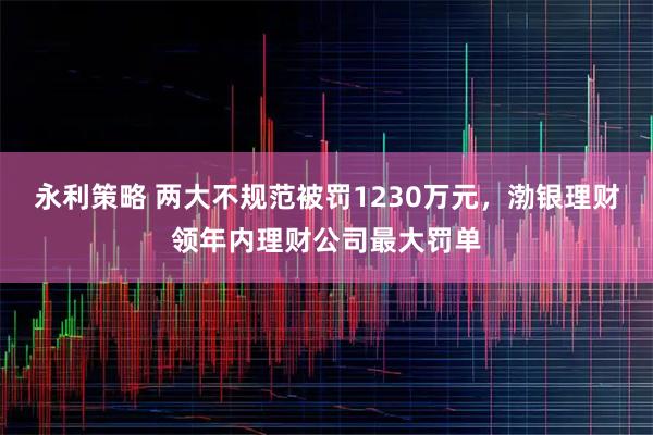 永利策略 两大不规范被罚1230万元，渤银理财领年内理财公司最大罚单